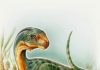 dinosaur that looks like a platypus