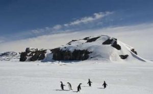 UQ researcher's icy-GeologyPage