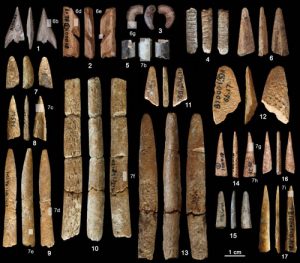 Paleolithic bone tools-GeologyPage