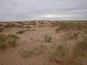 Sand dunes are important-GeologyPage