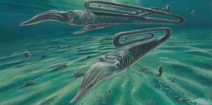 Antarctic fossils reveal creatures-GeologyPage