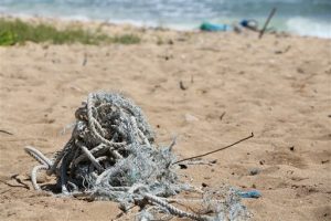 In this May 5, 2016 image provided by the state of Hawaii, ocean debris accumulates in Kahuku, Hawaii on the North Shore of Oahu. State officials say a study of the eight main Hawaiian Islands shows that ocean debris regularly accumulates around the archipelago, and that most of it is not linked to the March 2011 earthquake and tsunami in Japan. The aerial survey shows that much of the debris that accumulates on the shores of Hawaii is from fishing gear and plastics discarded locally. (Dan Dennison/Hawaii Department of Land and Natural Resources via AP)