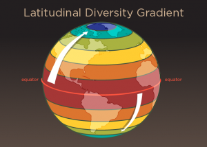 Current diversity pattern of-GeologyPage