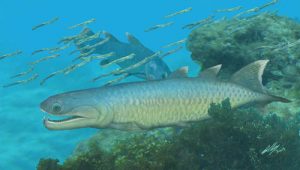 Devonian Fish Provides Unique Insights-GeologyPage