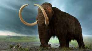 mammoth-GeologyPage