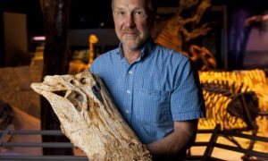 New study also shows it shared ancient Florida with giant crocodiles. Credit: Kristen Grace 