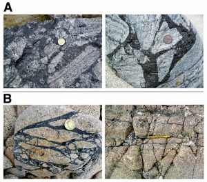 These pseudotachylites -- fine grained rocks -- are from the British Isles. Credit: Image courtesy of Yale University