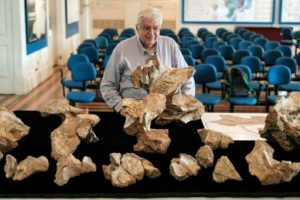  The Director of Earth Science Museum Diogenes de Almeida Campos shows the biggest piece of fossil of the Austroposeidon magnificus dinosaur’s neck. 