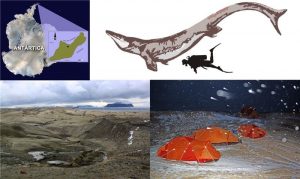 Upper left. Kaikaifilu was found in late cretaceous rocks from Seymour island, Antarctica. Upper right. An estimated size comparison of Kaikaifilu with a human. The size of the skull remains suggest it could have been as long as 12-14 mt. Bottom left: The terrain where the remains of Kaikaifulu were found turns mostly into mud under bad weather conditions like those encountered by the Chilean expedition (bottom right). Credit: Image courtesy of University of Chile