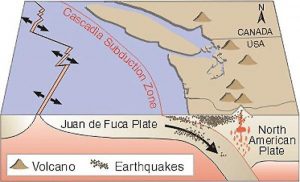 The Cascadia fault, which last experienced a mega-quake in 1700, lies along a flat region where mega-quakes can occur. Credit: USGS