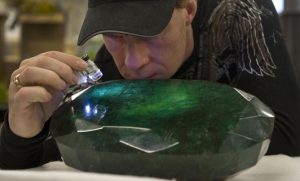 Regan Reaney, owner of the the world's largest emerald looks over the gem at the Western Star Auction House in Kelowna, British Columbia January 26, 2012. The 57,500 carat emerald, named "Teodora", which weighs 11.5 kg (25.35 lb) was mined in Brazil and cut in India. The stone will be publicly auctioned this weekend. REUTERS/Andy Clark (CANADA - Tags: SOCIETY TPX IMAGES OF THE DAY)
