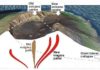 Giant lateral volcano collapses affects the deep paths of magma.