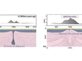 Time slices of the computational geodynamic model showing dripping continental root and eventual surface uplift over a 4.5 million year period across Turkey's Central Anatolian Plateau