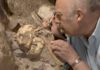 "Australopithecus skeleton" Little Foot Skull from the Sterkfontein Caves.