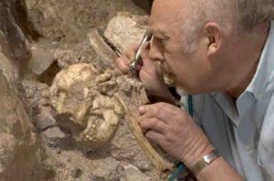"Australopithecus skeleton" Little Foot Skull from the Sterkfontein Caves.