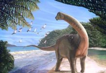 Mansourasaurus, New Egyptian dinosaur