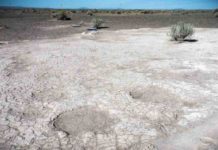 Footprints of mammoths, dated to 43,000 years ago, are seen in a portion of a trackway that was uncovered by researchers in 2017 in an ancient dry lake bed in Lake County, Oregon.