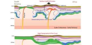 Cratonic lithosphere with a high-density root undergoes delamination when perturbed by mantle plumes from beneath. The removed cratonic root then thermally grows back, with its rock fabrics preserving recent mantle deformation.