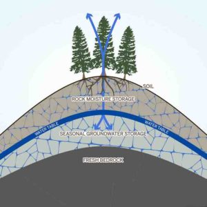 This moisture in the layer of weathered rock that is commonly located beneath soils is an important part of the water cycle on the local and global level. Tree roots tap into the rock moisture and release it back into the atmosphere as water vapor, and water flows through the fractures and becomes part of the seasonal groundwater storage (blue arrows). 