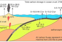 The oceanic slow carbon cycle.