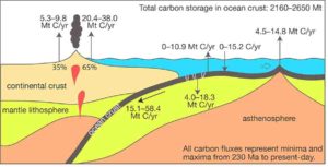 The oceanic slow carbon cycle.