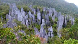 The Pinnacles of Gunung Mulu in Borneo 