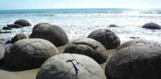 Gigantic concretions formed in mudstone on New Zealand's Moeraki coast; about 50 million years old. The present research shows that even concretions of this size formed very rapidly, within several decades.