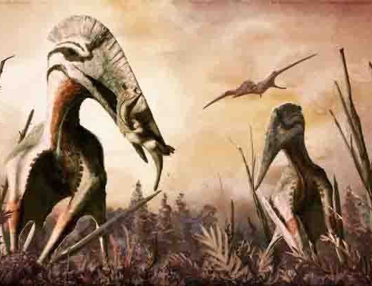 giant azhdarchid pterosaur Hatzegopteryx