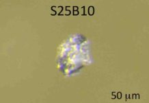 The oldest known zircon from Mars.