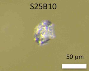 The oldest known zircon from Mars.