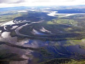 Lakes in the roadless Minto Flats surround the Tanana River in this photo from July 2014. 