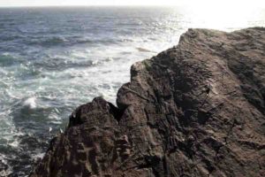 These are Ediacaran fossils at Mistaken Point, Newfoundland.