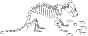Researchers from The University of Texas at Austin found a fossil of an extinct mammal relative with a clutch of 38 babies that were near miniatures of their mother.