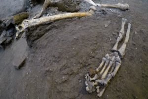 The remains of skeletons that were found in the Pompeii archaeological site, Italy, Wednesday, Oct. 24, 2018. The Italian news agency ANSA says new excavations in the ancient buried city of Pompeii have yielded the undisturbed skeletons of people who had taken refuge from the eruption of Mount Vesuvius in A.D.79. The director of the Pompeii archaeological site, Massimo Osanna, told ANSA on Wednesday the skeletons, believed to be two women and three children, were still intact, having been left undisturbed despite looting at the site centuries ago.
