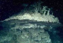 This hydrothermal chimney was one of several discovered by MBARI scientists in the southern Pescadero Basin.