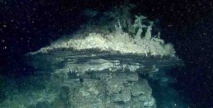 This hydrothermal chimney was one of several discovered by MBARI scientists in the southern Pescadero Basin. 