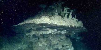 This hydrothermal chimney was one of several discovered by MBARI scientists in the southern Pescadero Basin.