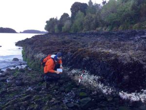 Ed Garrett of Durham University examines bleached coralline algae related to the the 2016 magnitude 7.6 Chiloé earthquake in Chile. Credit: Martin Brader