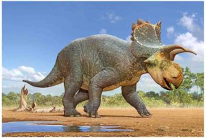 Crittendeceratops 