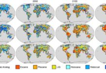 Future climate analogs for the years 2020, 2050, 2100 and 2200 according to three well-established models. If greenhouse gas emissions are not curbed, the study says, the climate will continue to warm until it begins to resemble the Eocene in 2100. Credit: Courtesy of the authors