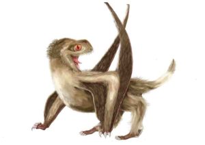 Daohugou pterosaur