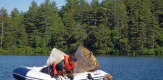 Doctoral students Daniel Miller, in the water, with Helen Habicht and Benjamin Keisling, handle two recaptured sediment traps from an unusually deep lake in central Maine, where they collected 136 sediment samples spanning the 900-year time span to reconstruct the longest and highest-resolution climate record for the Northeastern United States to date.