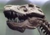 T. rex had an unusually flexible skull. Credit: Senckenberg