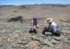 Researchers conducting fieldwork in Namibia as part of a previous study.