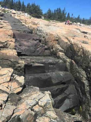 Intrusive Basalt Dike, Acadia National Park