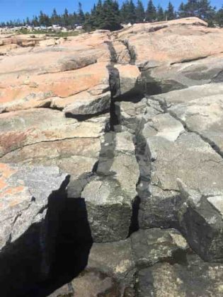 Intrusive Basalt Dike, Acadia National Park