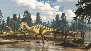 Galleonosaurus dorisae 