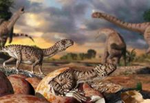 Illustration of Massospondylus eggs and young dinosaurs