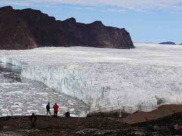 The calving front of Bowdoin Glacier in northwestern Greenland, where icebergs are discharged and ice under the water melts.