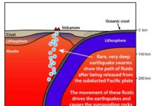 Deep earthquake swarms show the path of fluids released from the subducted Pacific Plate.